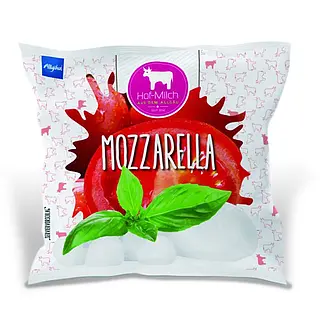 Allgäuer Mozzarella 125g 